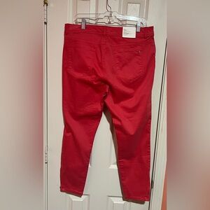 Calvin Klein Bold Pink Pants Size 12